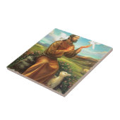 Carreau La pièce en t polychrome de St Francis, cravate, (Côté)