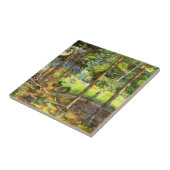 Carreau La pinède (Côté)