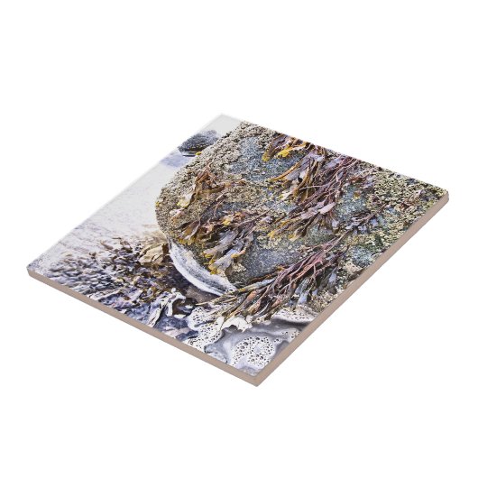 CARREAU LA PLAGE (Côté)