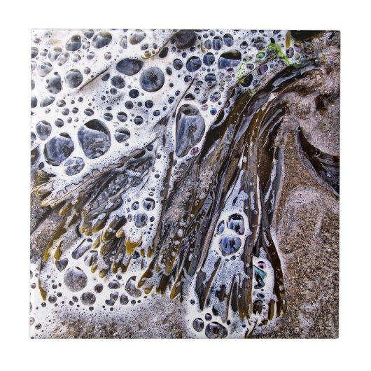 CARREAU LA PLAGE, ALGUES, EAU ET SABLE (Devant)
