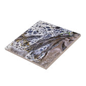 CARREAU LA PLAGE, ALGUES, EAU ET SABLE (Côté)