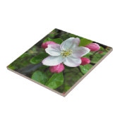 Carreau La pluie tombe sur une petite fleur (Côté)