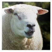 CARREAU LA RAM (Devant)