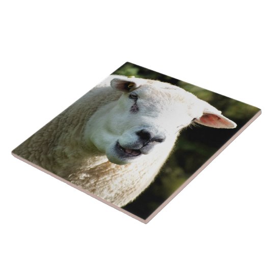 CARREAU LA RAM (Côté)