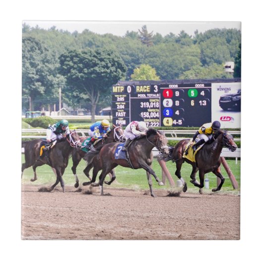 Carreau La règle tranquille fonctionne en bas de Jack plat (Devant)