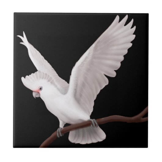 Carreau La tuile de perroquet de cacatoès de Goffins (Devant)