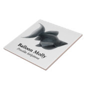 Carreau La tuile noire d'aquarium populaire de ballon (Côté)