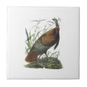 Carreau La Turquie sauvage par Audubon (Devant)