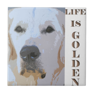 CARREAU LA VIE EST GOLDEN-TILE