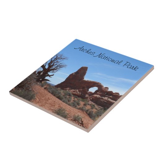 Carreau La voûte de tourelle arque le parc national (Côté)