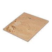 Carreau La Vue Depuis Masada (Côté)