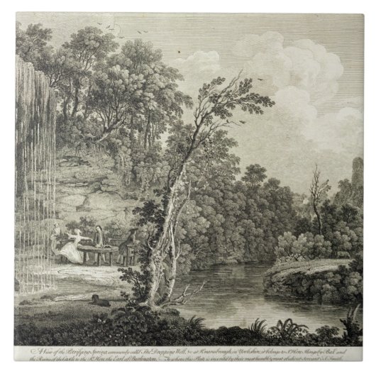 Carreau La vue du ressort pétrifiant a généralement appelé (Devant)