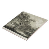 Carreau La vue du ressort pétrifiant a généralement appelé (Côté)