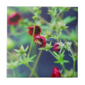 Carreau L'abeille à la fleur rouge (Devant)