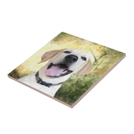 Carreau Laboratoire jaune heureux (Côté)