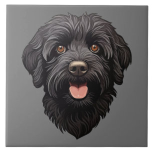 Carreau Labradoodle Chien noir
