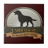 Carreau Labrador (Devant)