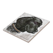 Carreau Labrador Retriever (Côté)