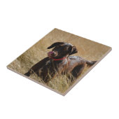 Carreau Labrador Retriever Chocolat Marron (Côté)