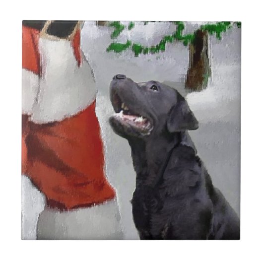 Carreau Labrador Retriever Christmas (Devant)