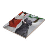 Carreau Labrador Retriever Christmas (Côté)