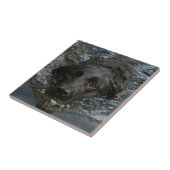 Carreau Labrador retriever noir personnalisable (Côté)