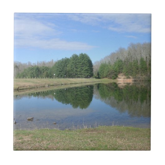 Carreau Lac bleu (Devant)