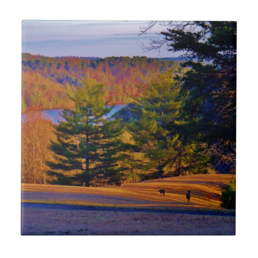 Carreau Lac Deer & Mt (Devant)