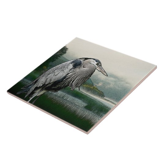 Carreau Lac heron (Côté)