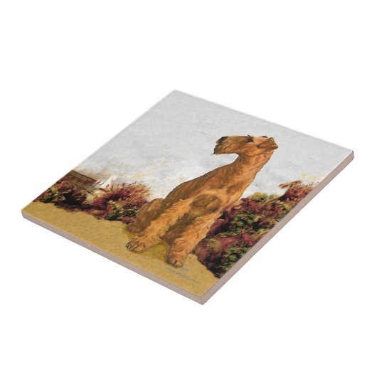 Carreau Lac Irish (Côté)