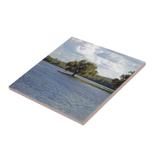 Carreau Lac Iron Mountain (Côté)