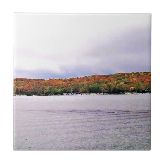 Carreau Lac Léman, Wisconsin (Devant)