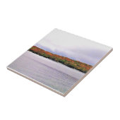 Carreau Lac Léman, Wisconsin (Côté)