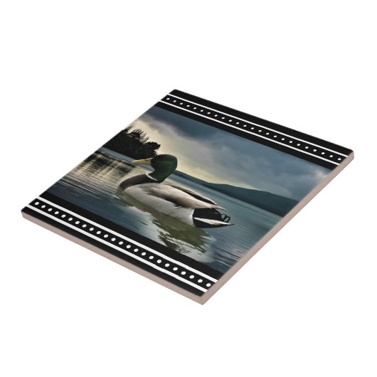 Carreau Lac Mallard Duck (Côté)