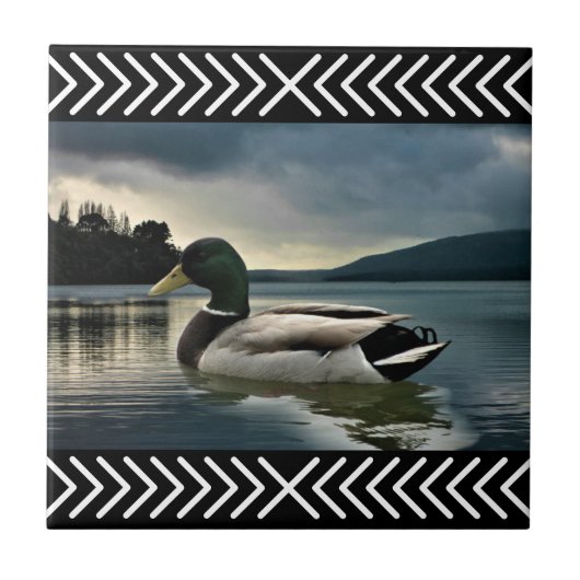 Carreau Lac Mallard Duck (Devant)