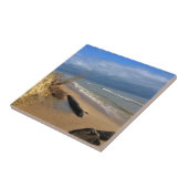 Carreau Lac Michigan, Sheboygan, Wisconsin (Côté)