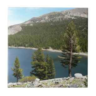 Carreau Lac Tenaya dans le parc national de Yosemite