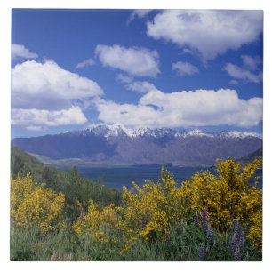 Carreau Lac Wakatipu et The Remarkables, Queenstown,