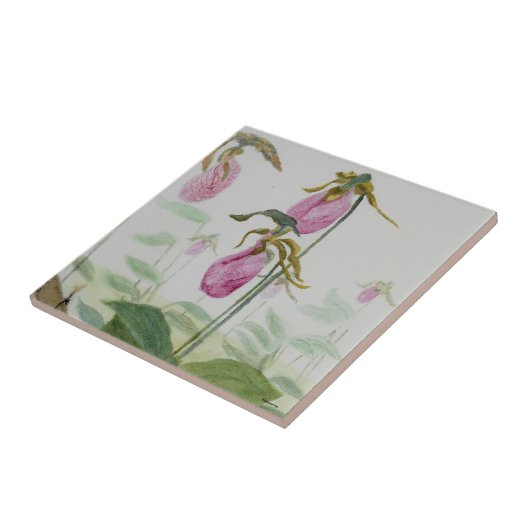 Carreau Lady Slipper Trivit (Côté)