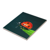 Carreau Ladybug (Côté)