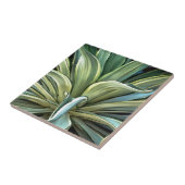 Carreau L'Agave Tropical Realism Art (Côté)