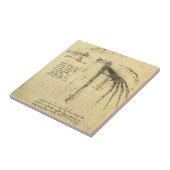 Carreau L'aile de Léonard de Vinci sur la machine volante (Côté)