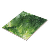 Carreau Laitue de feuille (Côté)