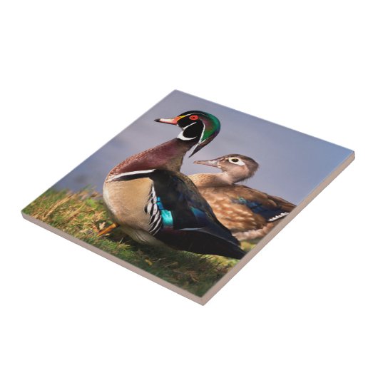 Carreau Lakeside (Côté)