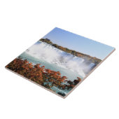 Carreau L'Américain tombe aux chutes du Niagara (Côté)