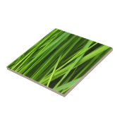 Carreau Lames d'herbe (Côté)