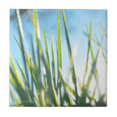 Carreau Lames éclairées (Devant)