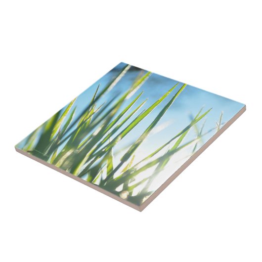 Carreau Lames éclairées (Côté)