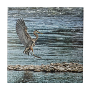 Carreau Landing Great Blue Heron Wildlife Birdlover Design