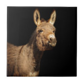 Carreau L'âne (Devant)